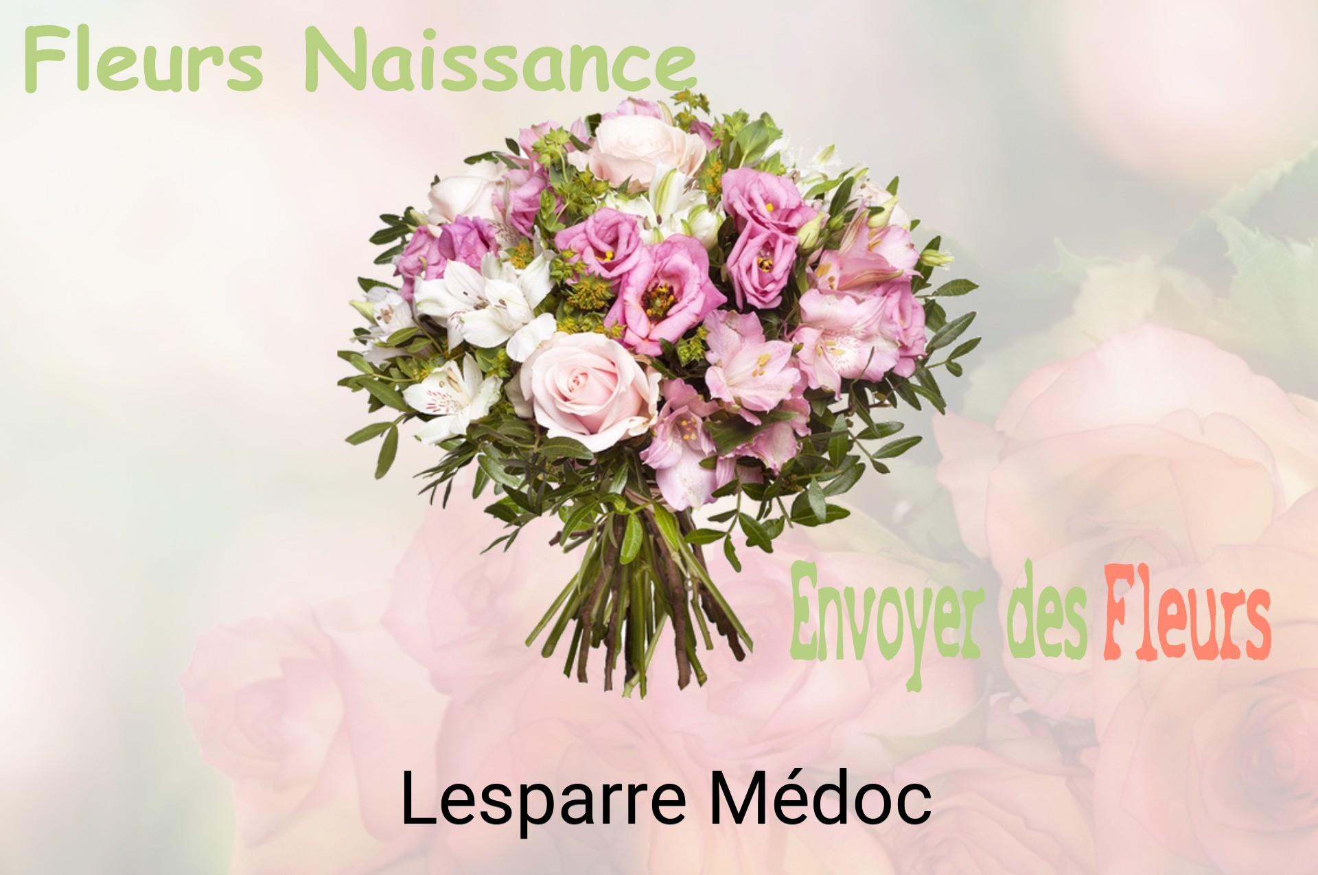 Bouquet de fleurs de naissance livré à Lesparre-Médoc